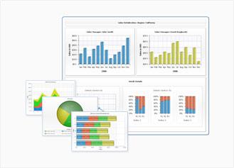  AnyChart Flash Chart Component 5.1.2.5