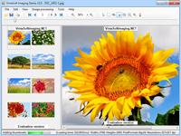  VintaSoft Imaging .NET SDK 8.6