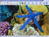  Able Photo Slide Show 2.8.4.2