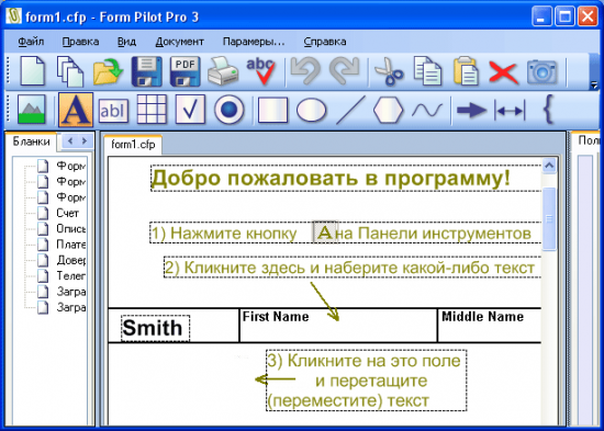  Form Pilot Pro 2.66