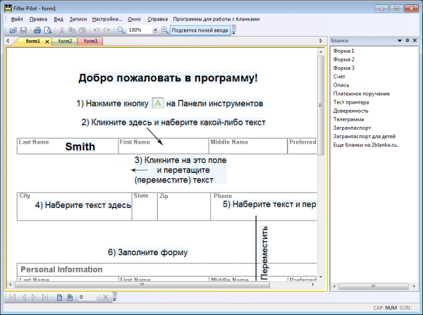  Filler Pilot 2.66