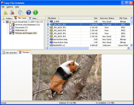  Easy FAT File Undelete 3.0