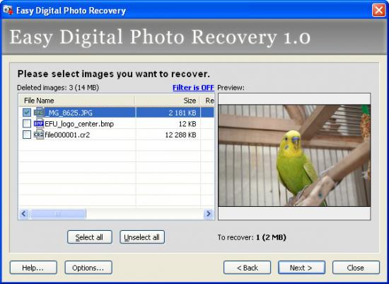  Easy Digital Photo Recovery 3.0