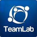  1  Teamlab 2.2