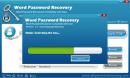  2  Word Password Recovery 5.0